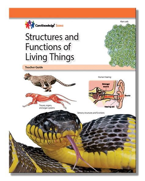 Structures and Functions of Living Things .